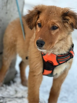 Finja 10 25 auf der suche 