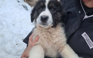 Lass dich von der Entdeckerin Reni verzaubern