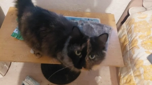 habe zwei weichen ihn liebe volle hände ab zu geben 