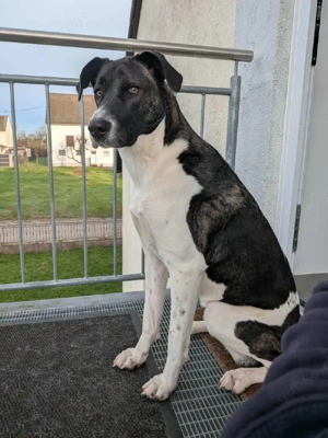 Große Begleiterin Kiwi 