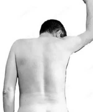 Suche Frau zum verwöhnen ......