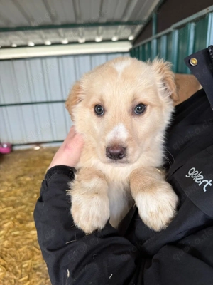 Bambam möchte die Welt entdecken