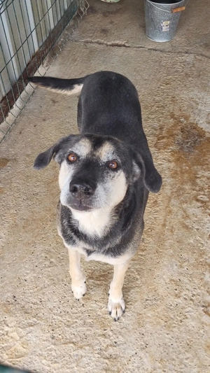 Fiona - der Name ist Programm