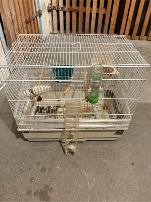 vögel käfig  Bild 5