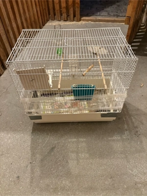 vögel käfig  Bild 4