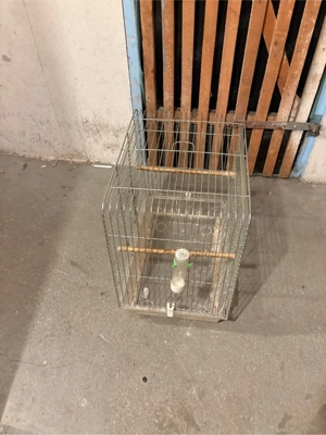 vögel käfig  Bild 3
