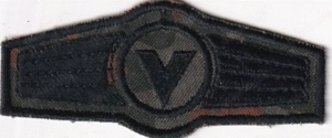 Bundeswehr, Tätigkeitsabzeichen, Versorger, Flecktarn