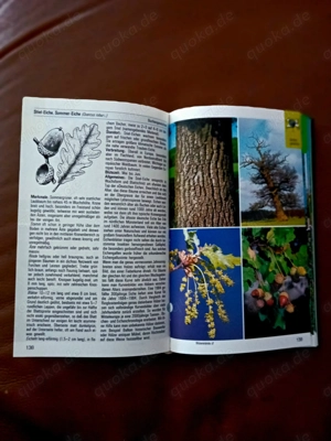 Lexika "Pflanzen und Tiere" Bild 3