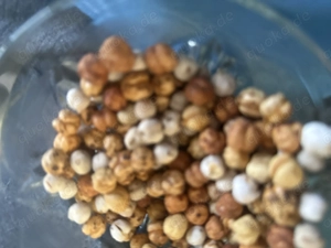 Welche aufgeschlossene Familienbande  FKK such Mitspieler ?