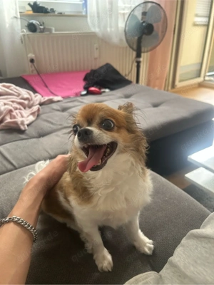 Auf der suche nach einem Mänchen 