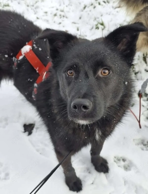 Whoopi - hat ein großes Herz 