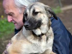 Gigetta sucht ihr Zuhause (noch auf Sardinien)