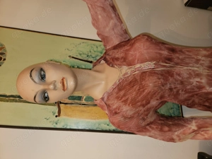 Deko! 2 Schaufensterpuppen Mannequin Damen á 99,-!