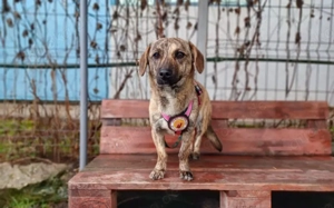 Ausgeglichene und freundliche Hilde