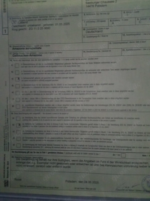 Handzahme Gelbnackenamazone 