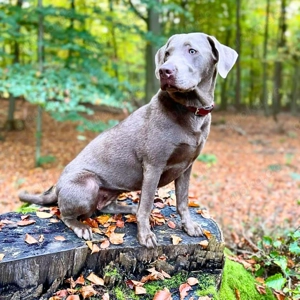 Lia - die Wasserratte