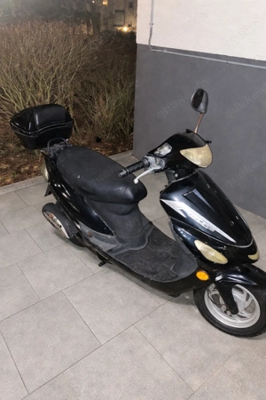 roller mofa moped rex