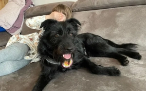 Salome: Energie trifft Schmusebacke