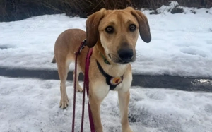 Supermodel Hanni Bild 4