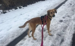 Supermodel Hanni Bild 3