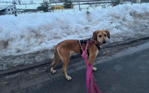 Supermodel Hanni Bild 2