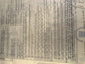 Breitrandschildkröten männl. testudo marginata von 2006 abzugeben