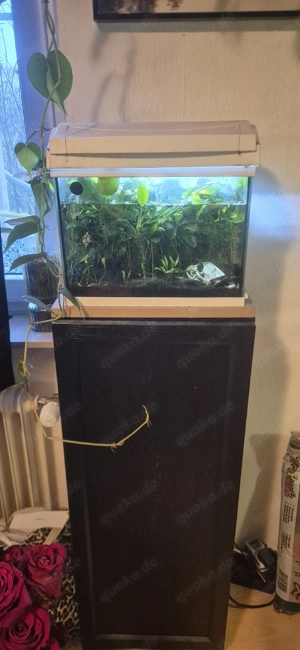 Tetra Aquarium, mit Schrank, Filter Dennerle, Heizer Dennerle  