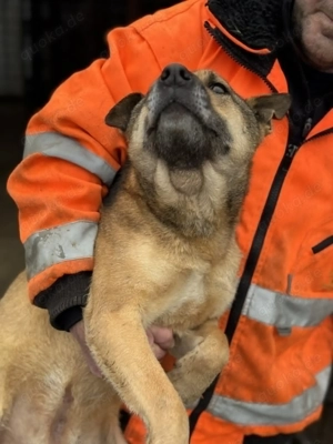 Schüchterne und menschenbezogene Kara - sie wird immer übersehen   