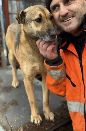 Schüchterne und menschenbezogene Kara - sie wird immer übersehen    Bild 2