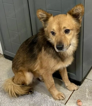 Bildhübscher Schatz Nico   