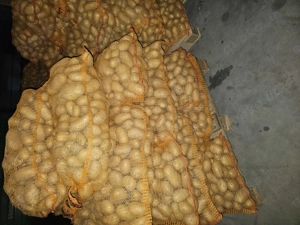 Speisekartoffeln zu verkaufen!