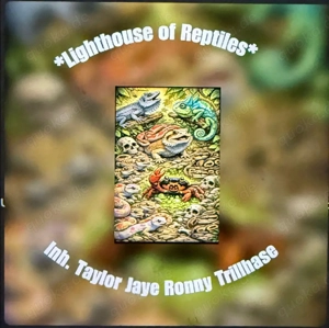    für Reptilen- private auffangstion