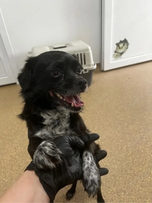 Margo wünscht sich ein Zuhause