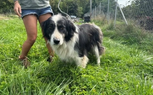 Wer gibt Alice eine Chance?