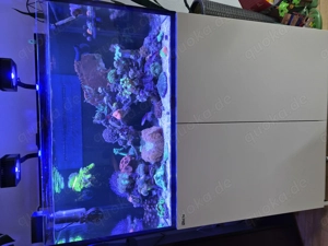 Red Sea Nano XXXL G 2 