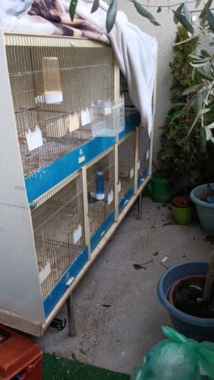 Zuchtkäfig Firma graf 