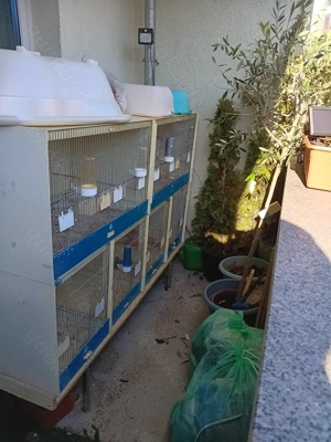 Zuchtkäfig Firma graf  Bild 2