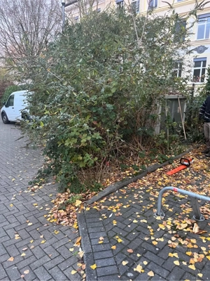 Gartenarbeit