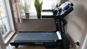 Nautilus Laufband T628