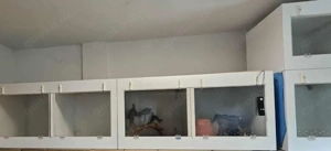 Forex Terrarien 4 Stück 