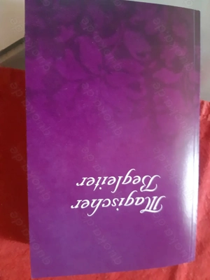 Johannes Fiebig, Wegbegleiter für magische Zeiten