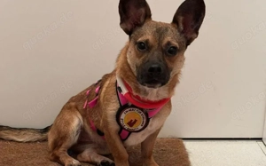 Kleine Shazia wartet auf ihr Zuhause