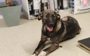 Celi wartet auf dich