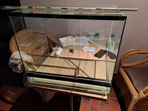 Terrarium Glas mit Pflanzschale