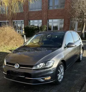 Volkswagen Golf Golf 1.5 TSI DSG, LED, Standheizung, AHZV, Navi