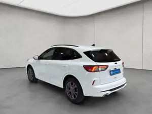 Ford Kuga 2.5 Duratec PHEV ST-LINE X Bild 3