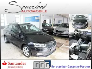 Skoda Fabia Combi 1.0 TSI KLIMA SHZ PDC TEMPOMAT