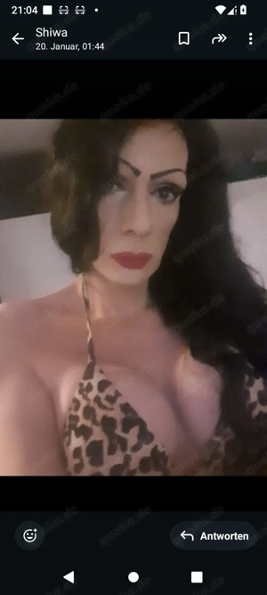 TRANS Jessy verwöhnt privat in Helmstedt   