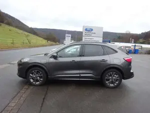 Ford Kuga Plug-In Hybrid ST-Line X AHK Bild 4
