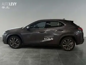 Lexus UX 300h F-Sport Design +inkl. Techn.Paket*Vorlauf Bild 3